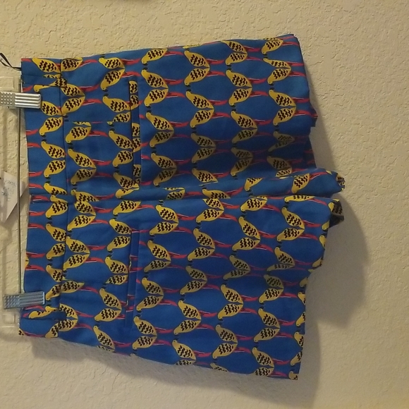 Zara Bird Shorts - Picture 3 of 4